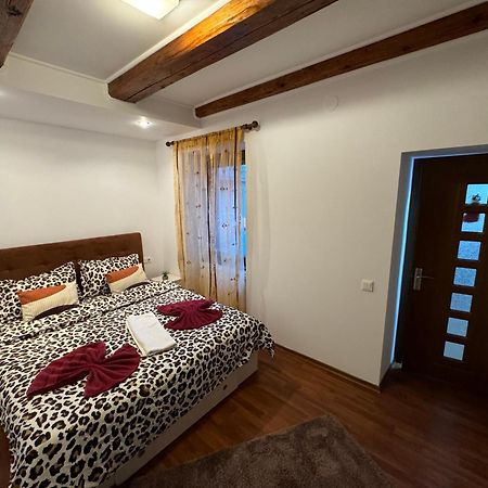 Iazi Apartament ブラショフ エクステリア 写真