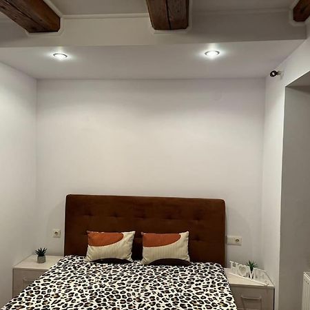 Iazi Apartament ブラショフ エクステリア 写真