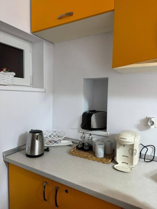 Iazi Apartament ブラショフ エクステリア 写真