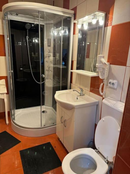Iazi Apartament ブラショフ エクステリア 写真