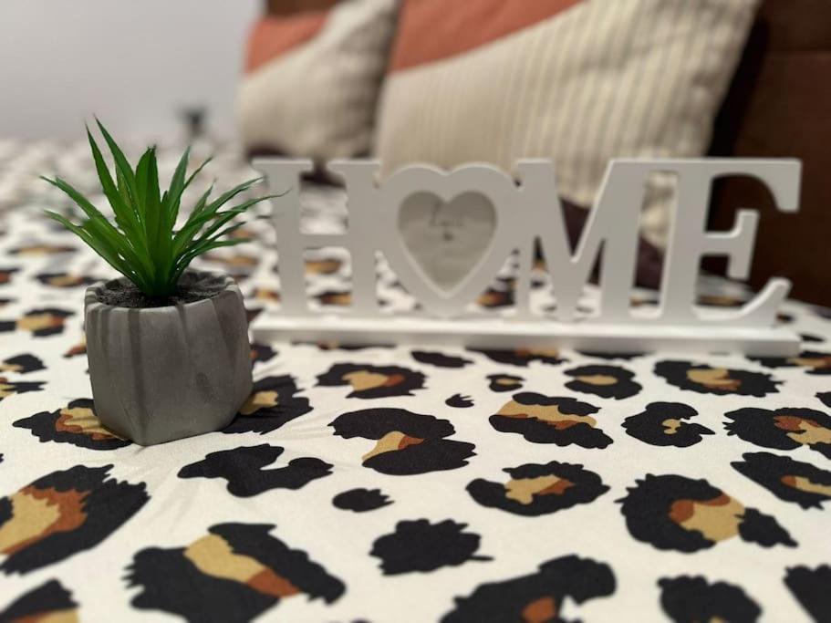 Iazi Apartament ブラショフ エクステリア 写真