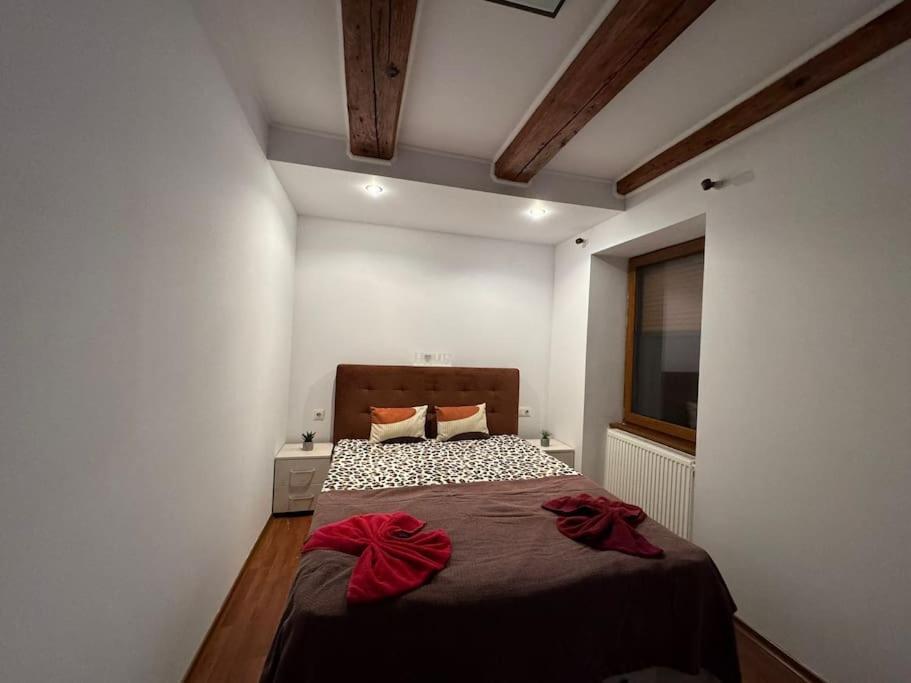 Iazi Apartament ブラショフ エクステリア 写真