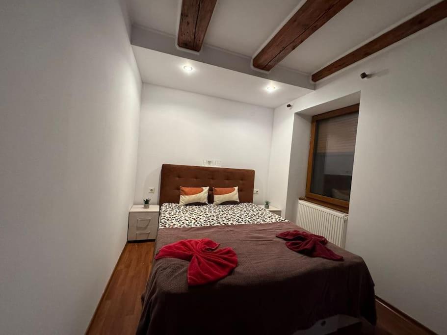 Iazi Apartament ブラショフ エクステリア 写真