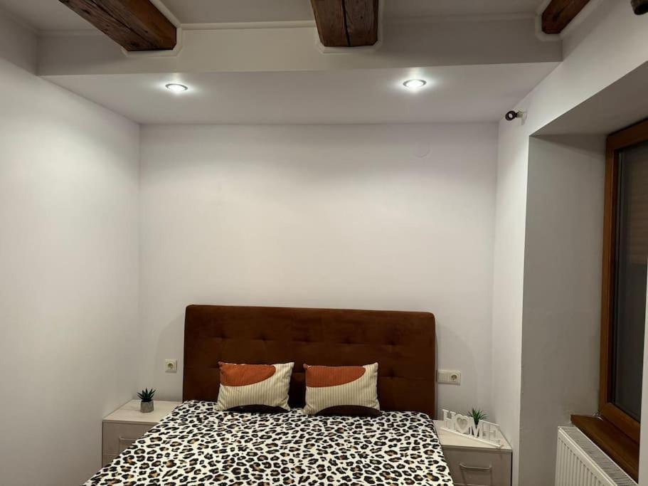 Iazi Apartament ブラショフ エクステリア 写真