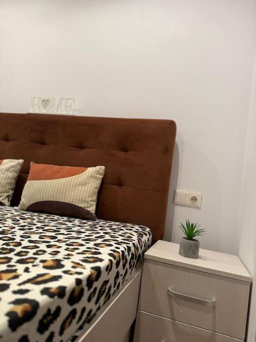 Iazi Apartament ブラショフ エクステリア 写真