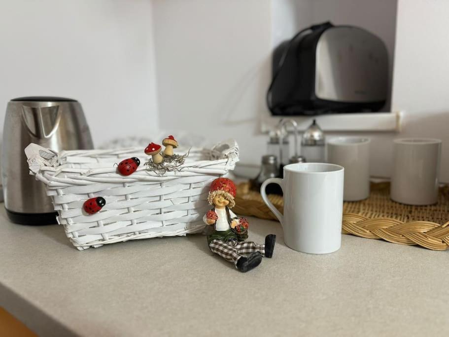 Iazi Apartament ブラショフ エクステリア 写真
