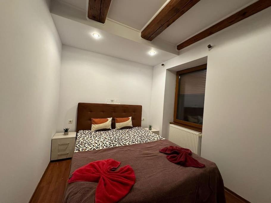 Iazi Apartament ブラショフ エクステリア 写真