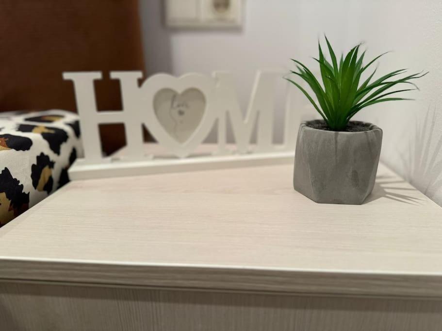 Iazi Apartament ブラショフ エクステリア 写真